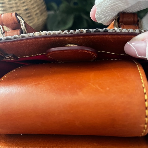 Dooney & Bourke Janine Python Mini Snake Print Satchel W/Crossbody - Picture 5 of 7